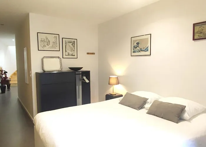 Beautiful Duplex With Ac - Place Du Palais